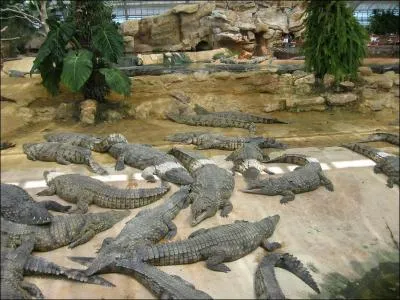O peut-on visiter 'la ferme aux crocodiles', Parc zoologique priv de 8000 m2 ?