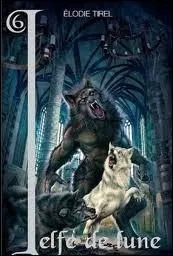 Quel est le nom de ce tome ?