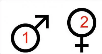 ... . donc Madame le ... .