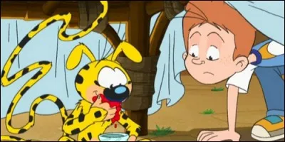 Dans "Mon ami Marsupilami", quel est le nom de famille de Théo, grand frère de Zoé ?