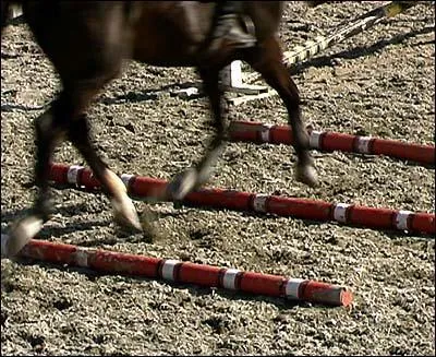 Que franchit ce cheval au trot ?