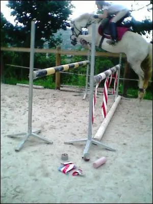 Que est le nom de l'obstacle que franchit ce cheval blanc ?