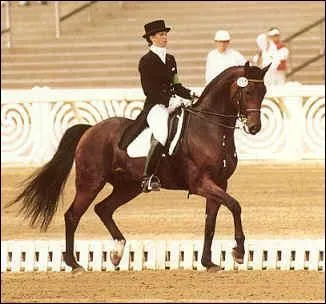 Quelle est la discipline de ce cavalier et de son cheval ?