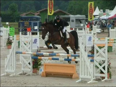 Quelle est la discipline de ce cavalier et de son cheval ?