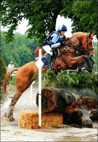 Quelle est la discipline de ce cavalier et de son cheval ?