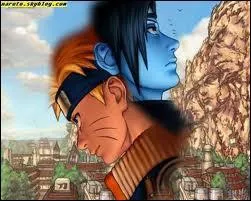 Pourquoi, depuis l'acadmie ninja, taient-ils rivaux ?