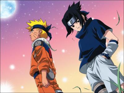 Tout d'abord, qui sont Naruto & Sasuke ?
