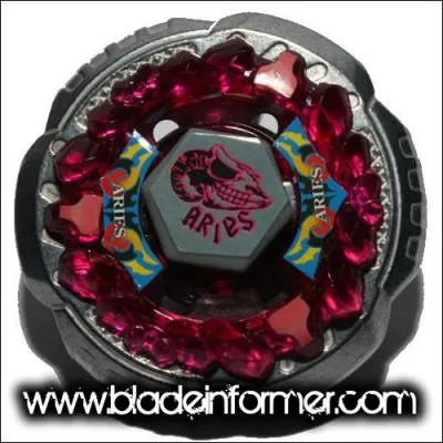 Cette toupie appartient  :