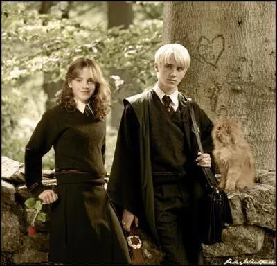 Qui Hermione a-t-elle embrasse pour la premire fois ?