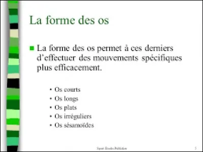 Quel os est classé dans la catégorie des os sésamoïdes ?
