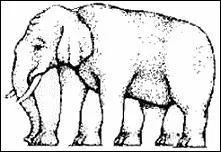 Combien de pattes a cet lphant ?