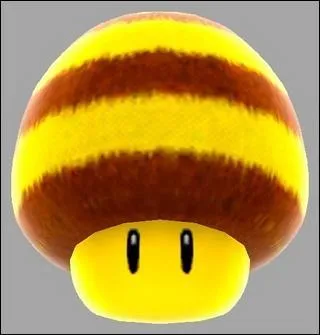  quoi ce champignon poilu sert-il ?