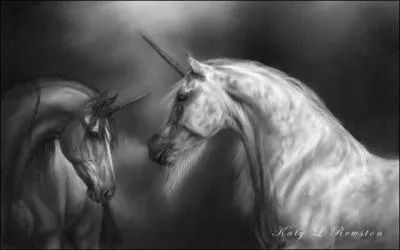 Quel est le nom de ces chevaux fantastiques ?