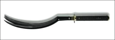 Quel est le nom de ce Zanpakuto ?