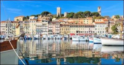 Il faut être aveugle pour ne pas voir que l'industrie du cinéma y a ri et s'y sucre.