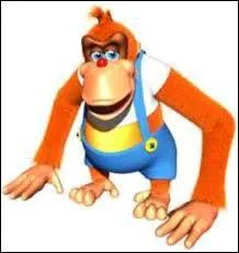 Quel est ce singe Kong un peu zinzin ?