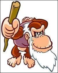 Quel est ce vieux singe Kong qui a beaucoup appris  notre cher DK ?