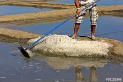 Nom donné à un ouvrier des marais salants