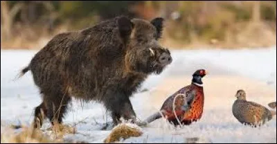 Ce mot désigne ce qui concerne la chasse.