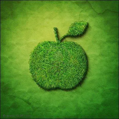 Comment dit-on vert en anglais ?