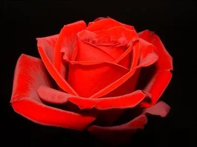 Comment dit-on rouge en anglais ?