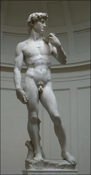 Le David de Michel-Ange exprime l'idal de beaut de la Renaissance, mais combien mesure la statue sans son pidestal ?