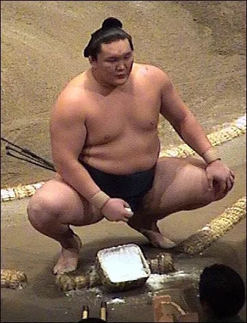 Au Japon, les sumotoris sont des demi-dieux, mais combien doivent-ils peser au minimum et depuis quand existe ce sport ?