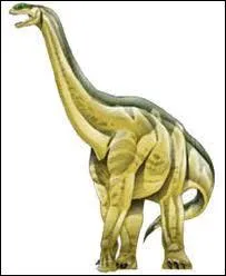 PATAGOSAURUS veut dire :