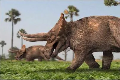 TRICERATOPS veut dire :