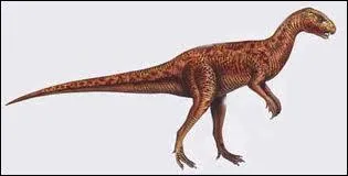 HETERODONTOSAURUS veut dire :