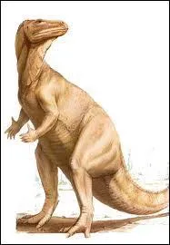 IGUANODON veut dire :