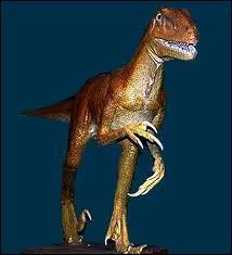 DEINONYCHUS veut dire :