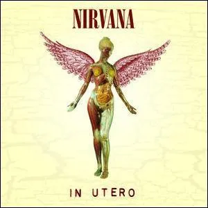 En quelle anne est sorti l'album ' In Utero ' ?