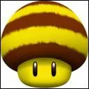 Quels sont les chamgements que Mario subit avec ce champi ?