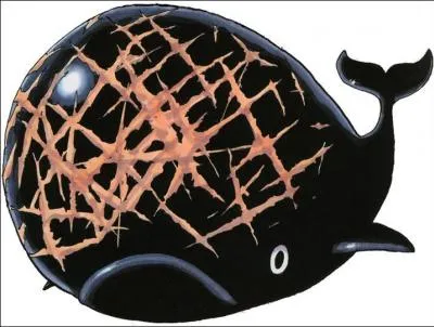 Dans quel manga voit-on cette baleine ?