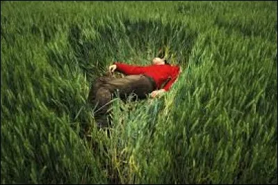 C'est un trou de verdure où chante une rivière 
Accrochant follement aux herbes des haillons 
D'argent ; où le soleil, de la montagne fière 
Luit ; c'est un petit val qui mousse de rayons