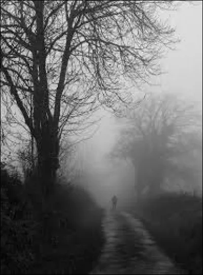 Demain dès l'aube, à l'heure où blanchit la campagne 
Je partirai. Vois-tu, je sais que tu m'attends 
J'irai par la forêt, j'irai par la montagne 
Je ne puis demeurer loin de toi plus longtemps