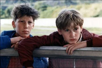 [La vie est un long fleuve tranquille] Quels sont les noms des deux familles rivales ?