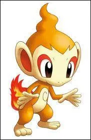 Quel pokmon est-ce ?