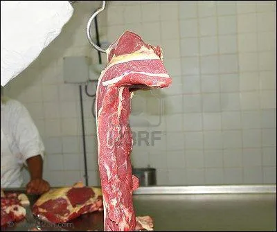 Il peut être de boucher ou du gauche. Quel est ce mot ?