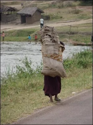 Une personne travaillant avec acharnement à des tâches très pénibles est une bête de :
