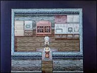 Qui est le servant au manoir de Romana ?