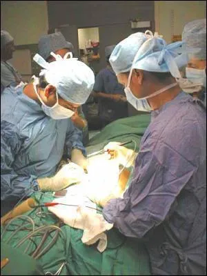 Qui a pratiqu la premire transplantation cardiaque humaine ?