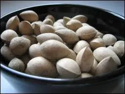 Quelles sont ces noix dont on se sert au Japon contre les effets des abus d'alcool ?