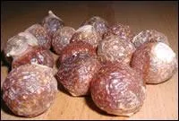 En Inde,  quoi est utilise cette noix, fruit du Sapindus Mukorassis contenant de la saponine ?