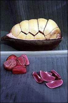 Combien pse la noix de Cola utilise  l'origine pour la confection du Coca Cola ?