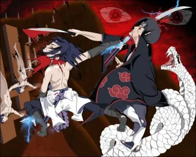 Itachi et Sasuke se sont affronts combien de fois ?