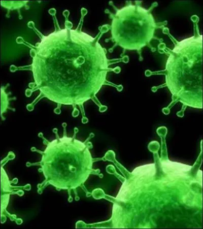 Le format le plus 'viral' :