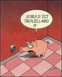 Le cochon couine, grogne et... .