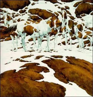 Combien y a-t-il de chevaux sur cette photographie ?